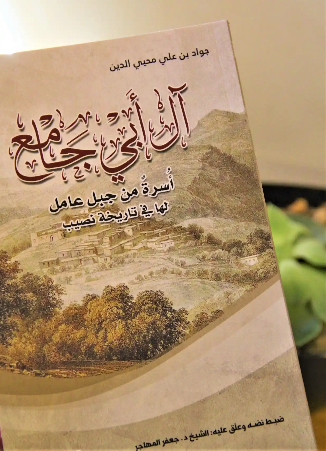 آل أبي جامع